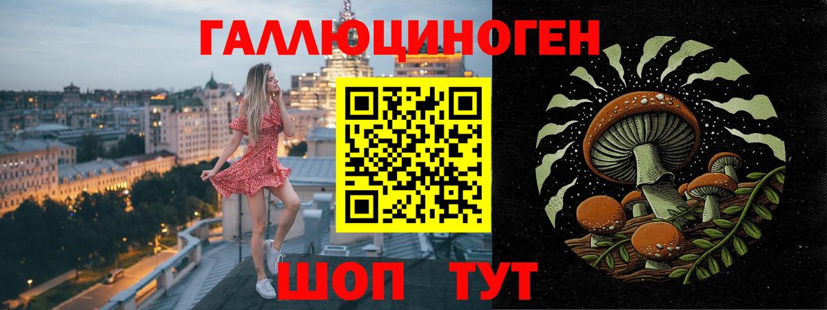 Павловский Посад  Галлюциногенные грибы MAGIC MUSHROOMS  Вход с VPN  Псилоцибиновые грибы Psilocybe 